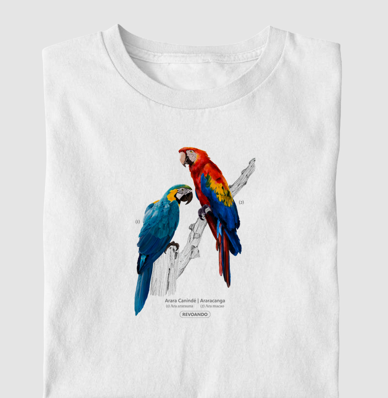 Aves do Brasil - Arara Canindé e Araracanga