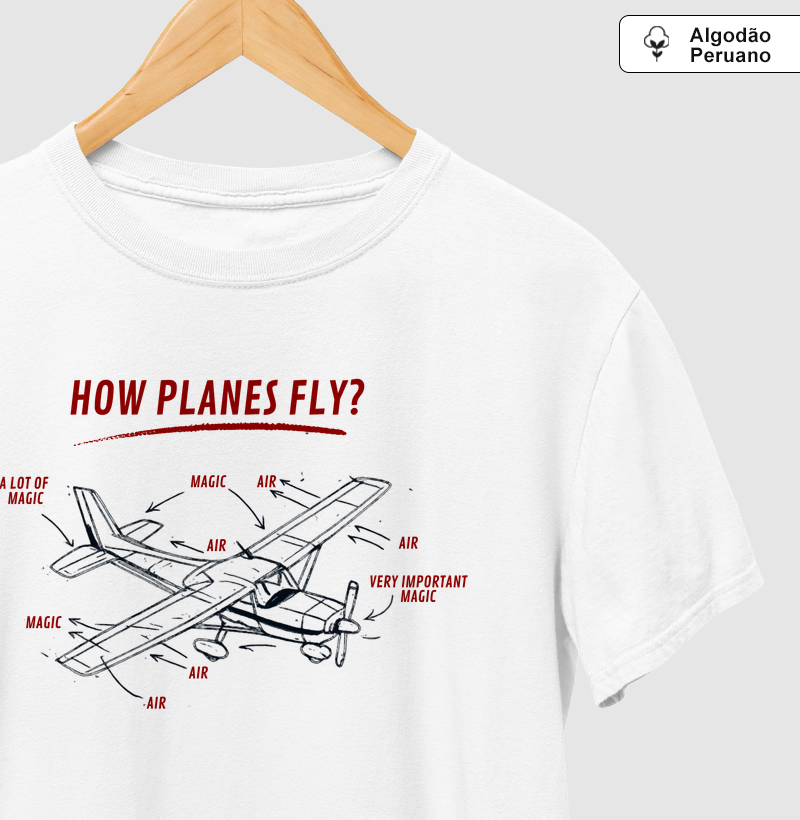 How Planes Fly?