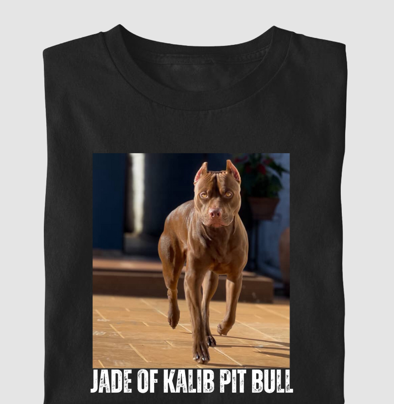 JADE OF KALIB PIT BULL