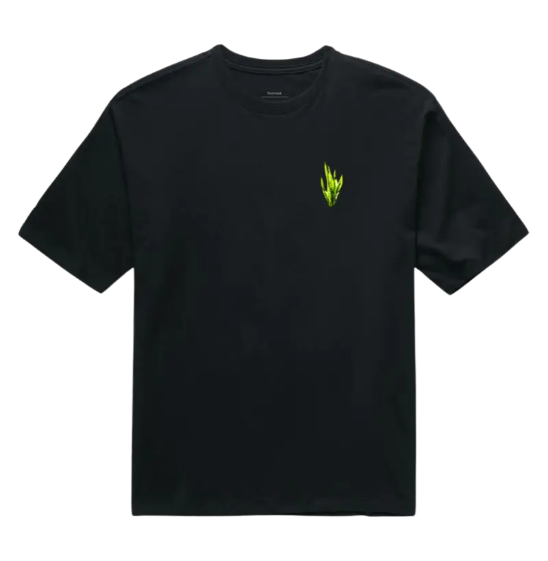 Espada de São Jorge