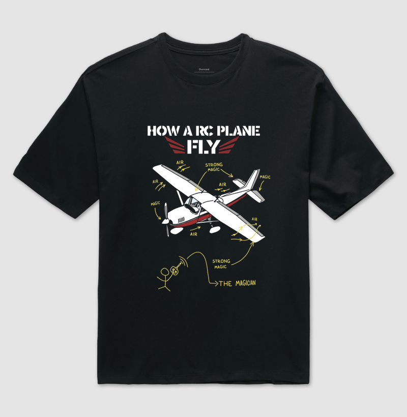 Como um aeromodelo voa!