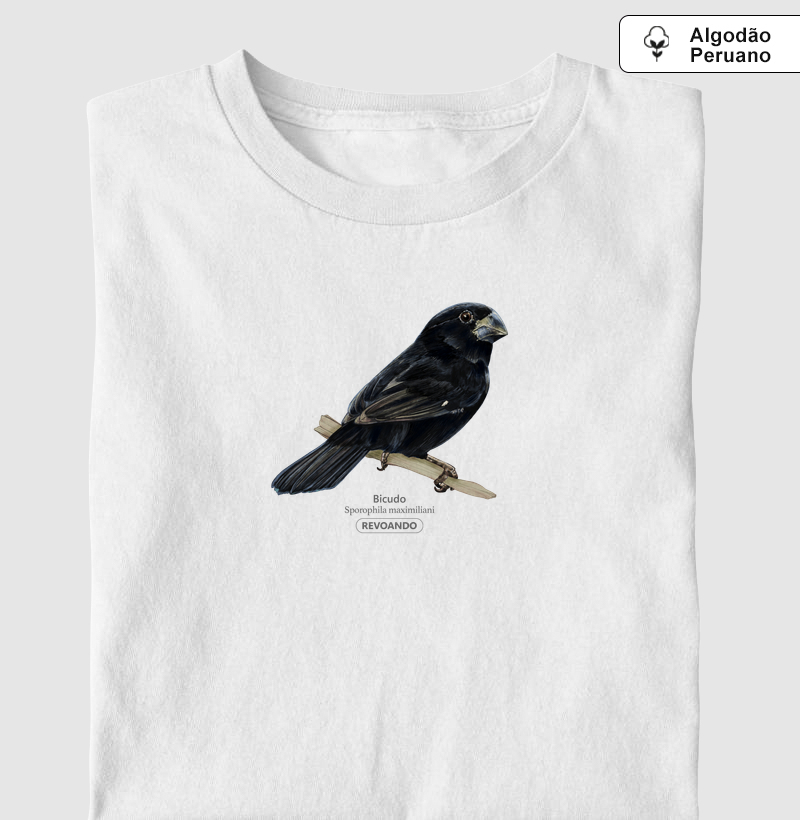 Aves do Brasil - Bicudo - Algodão Peruano