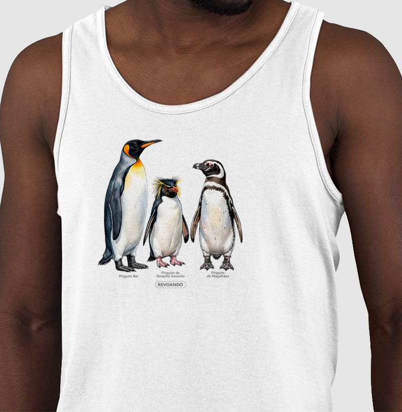 Traços Alados - Coletivo Pinguins - Regata - Regata