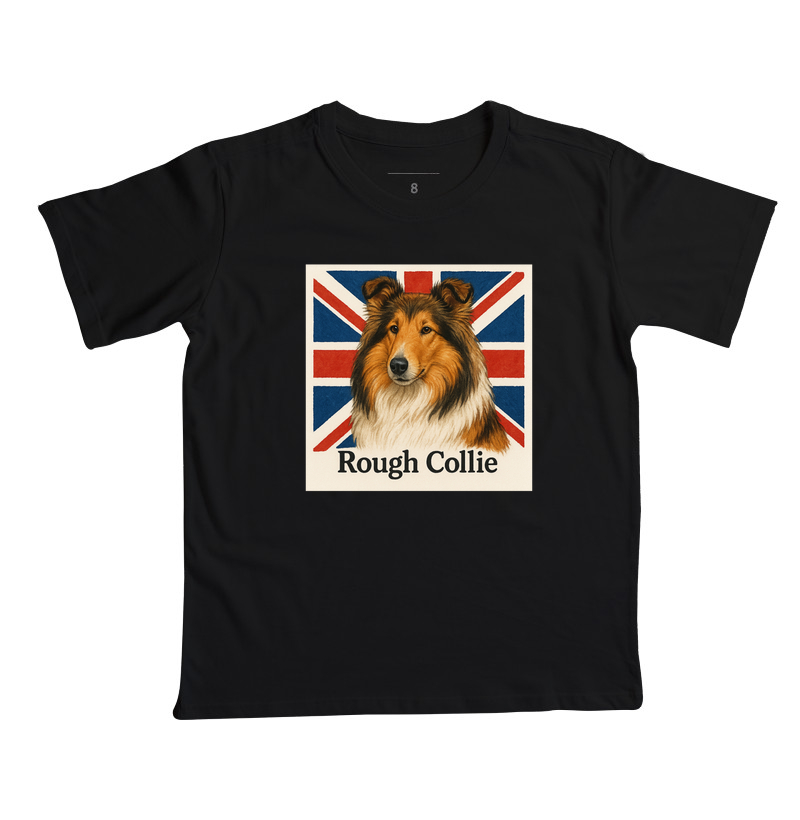 Rough Collie 02
