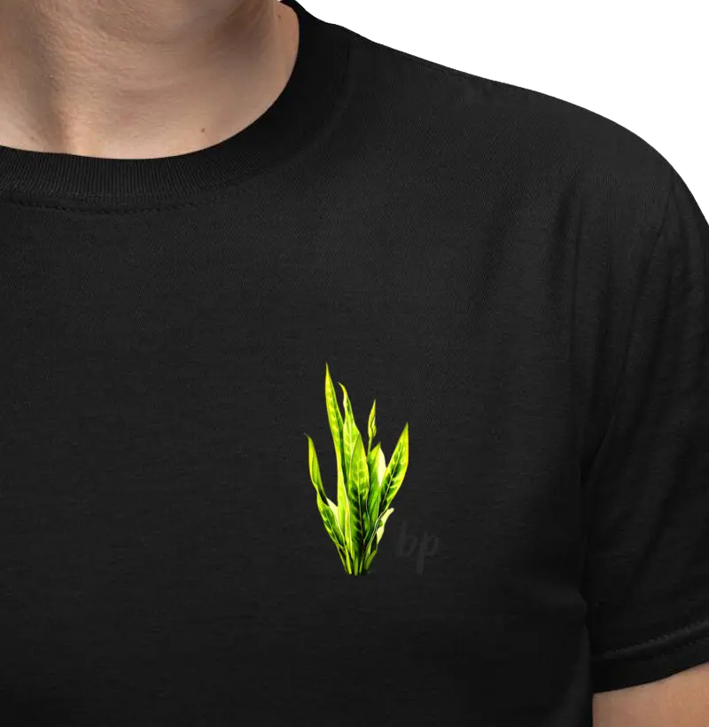 Espada de São Jorge