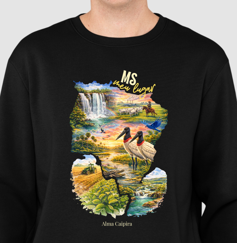 MS meu lugar_2