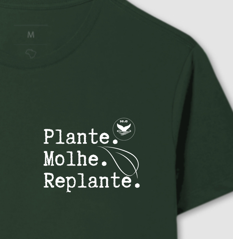 Plante molhe replante