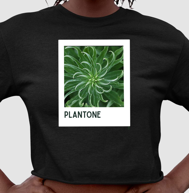 Plantone