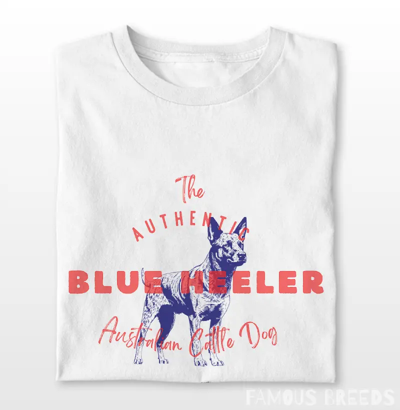 Authentic Blue Heeler
