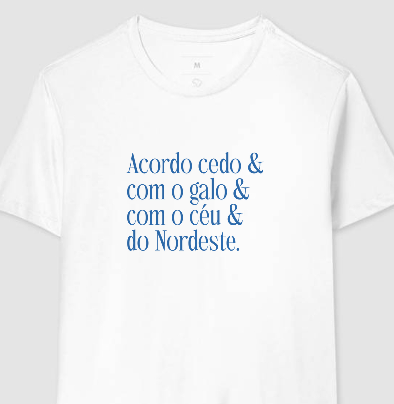 Nordeste é &