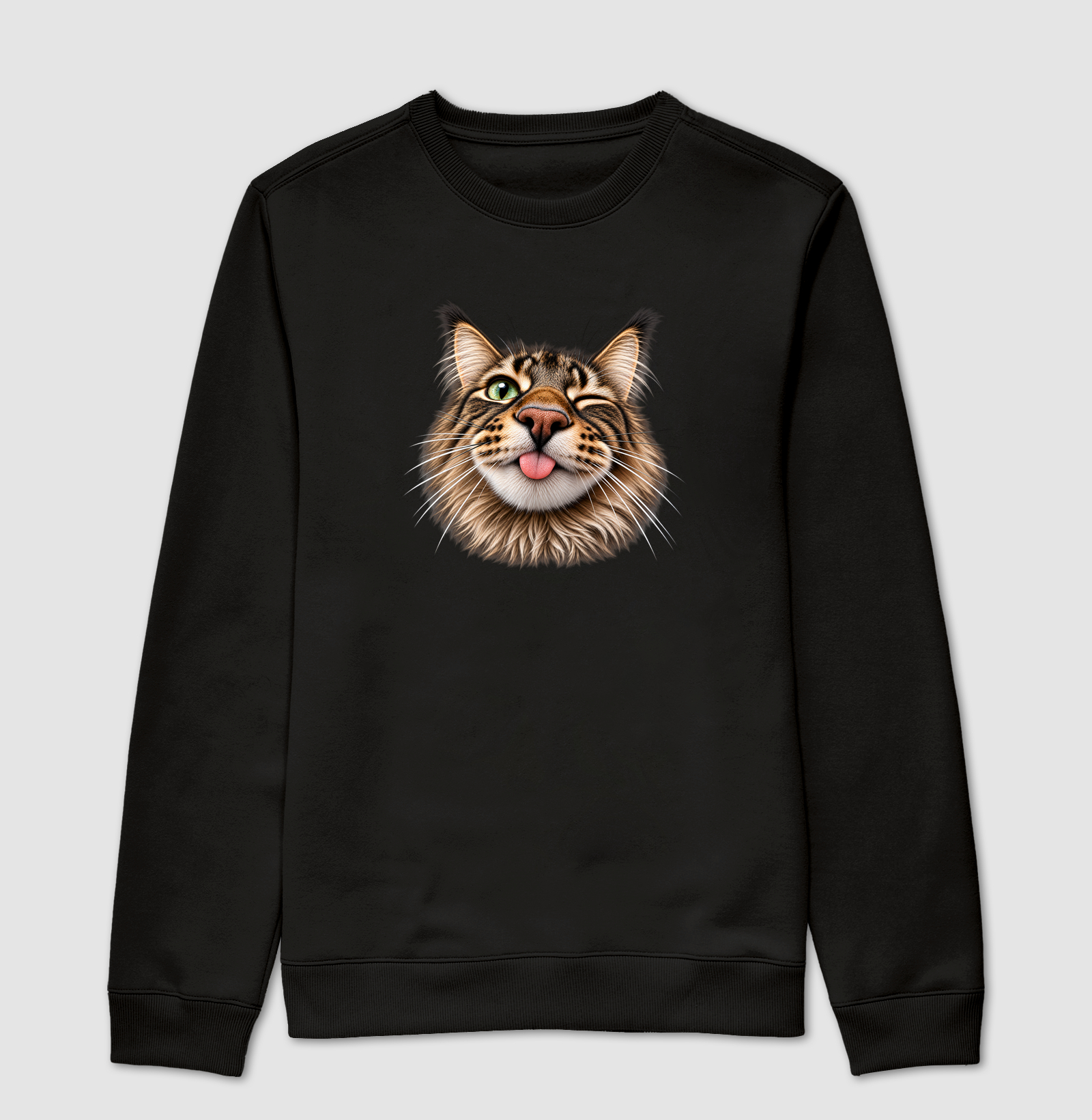 focinhos - maine coon