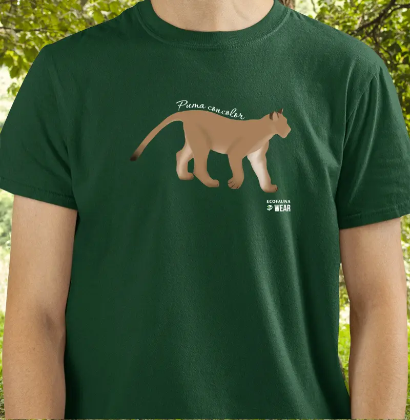 PUMA CONCOLOR - Coleção Felinos