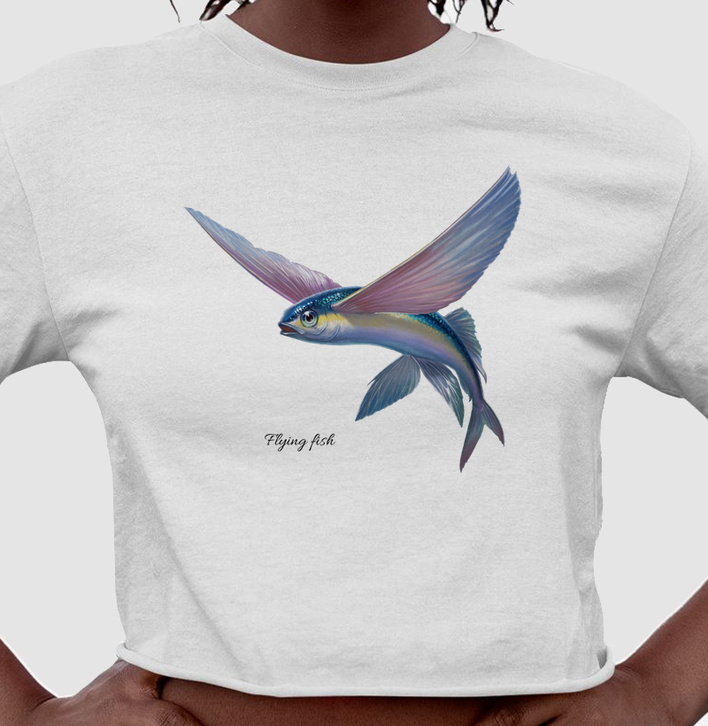 Flying Fish