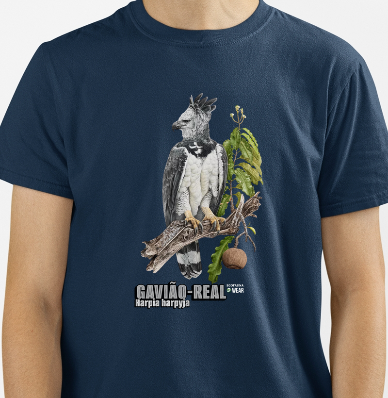 GAVIÃO-REAL - Coleção Aves