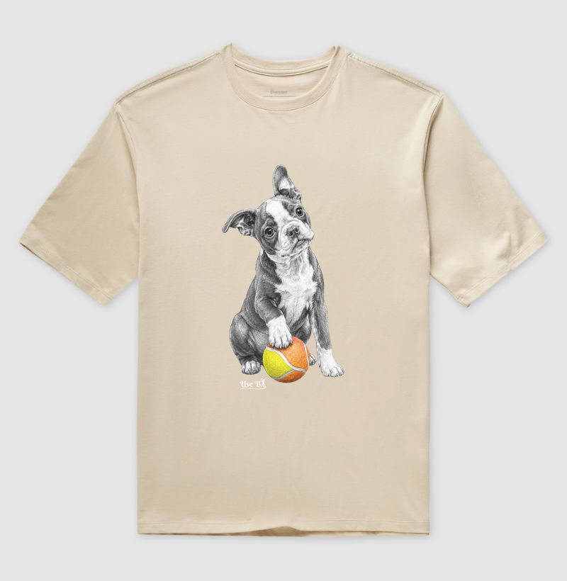 Boston Terrier do Beach