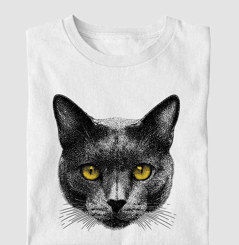 Gato Preto