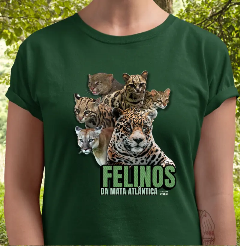 FELINOS DA MATA ATLÂNTICA - Coleção Mata Atlântica