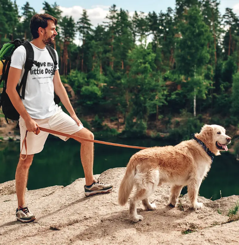 Camiseta Dog Pulse Pawsitivity Collection – I Love My Little Dog