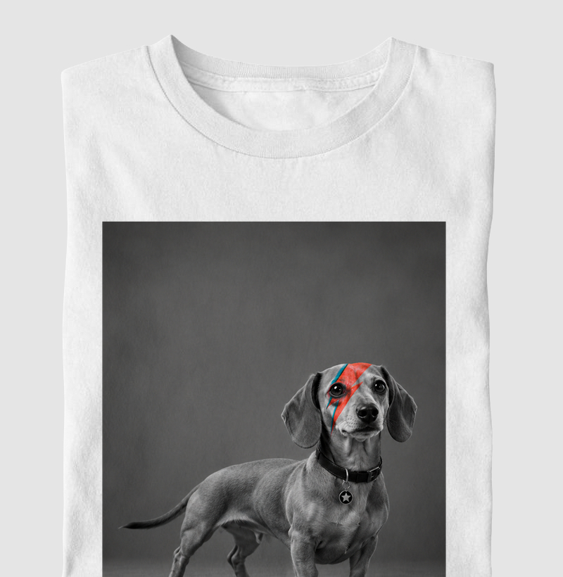 Glam Rock Dachshund ⚡