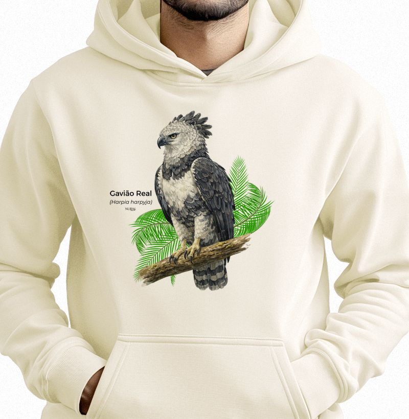 Gavião Real (Harpia harpyja)