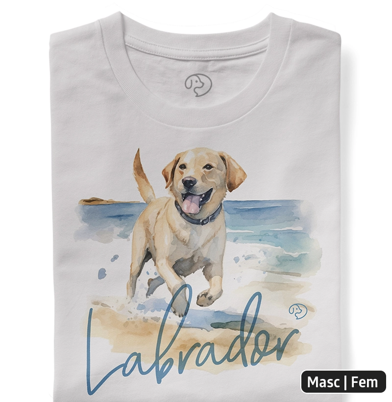 Labrador Splash