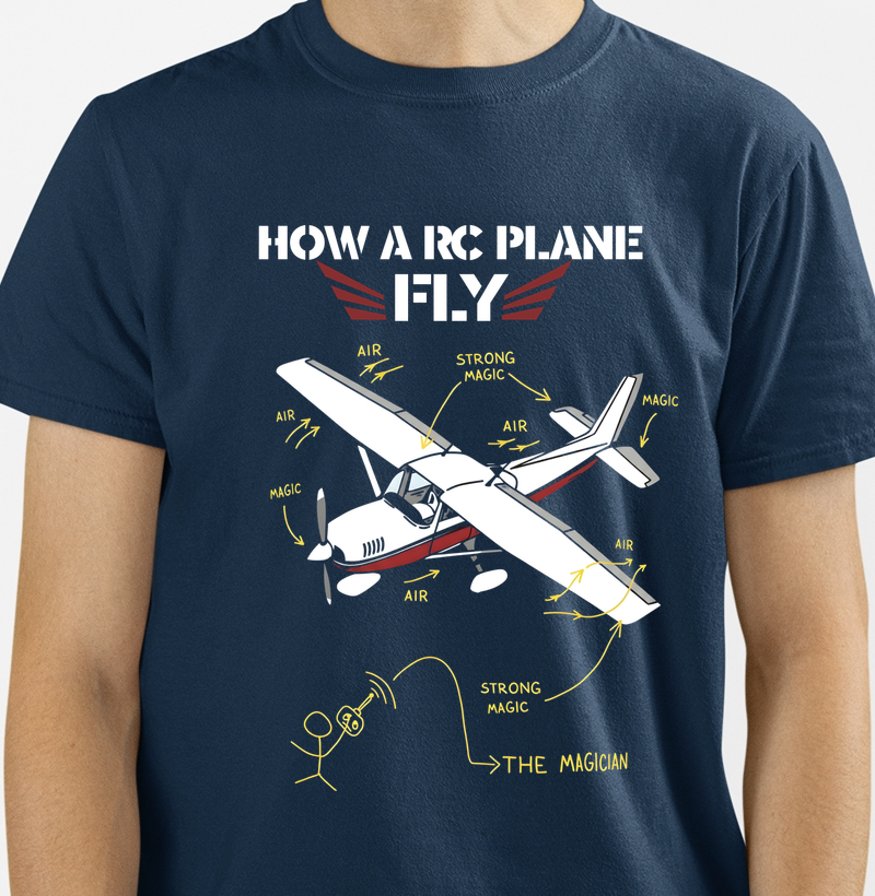 Como um aeromodelo voa!