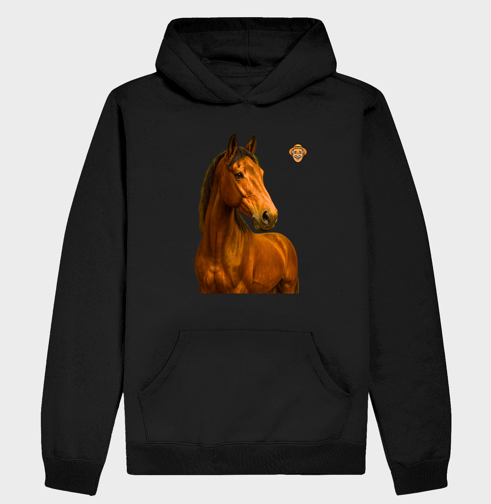 Cavalo baio 