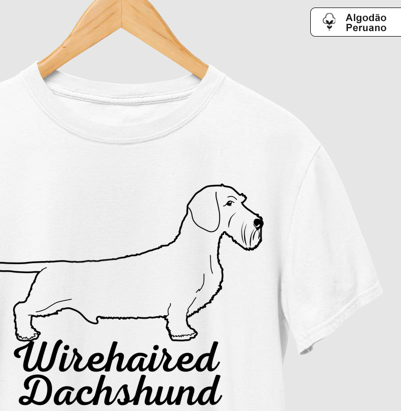 Wirehaired Dachshund 02