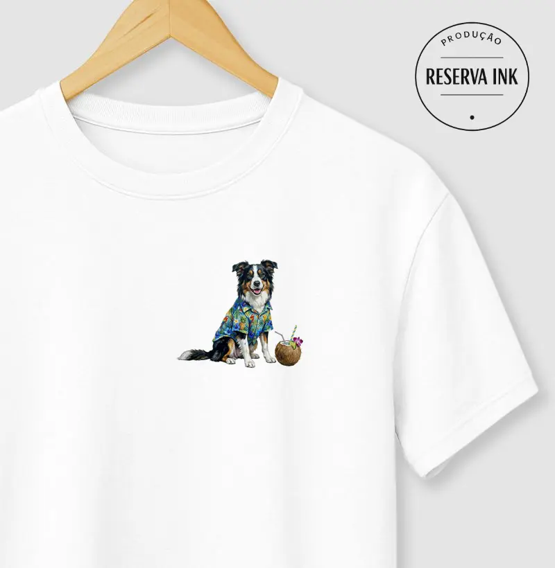 Border Collie - Férias