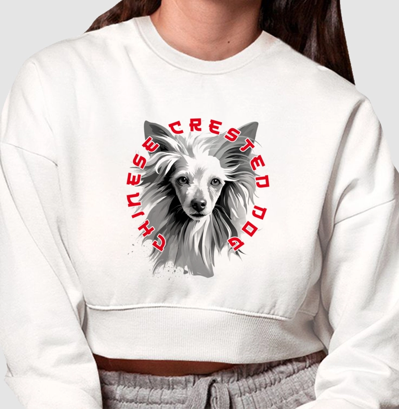 Cão de Crista Chinês Ai 