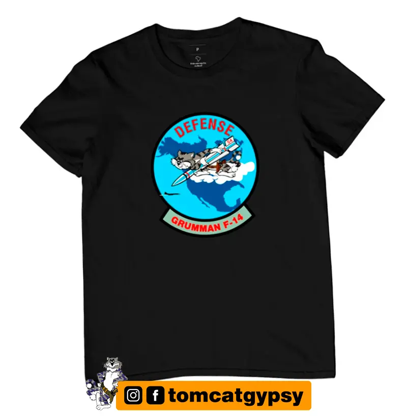 Grumman F-14 Tomcat - Defense