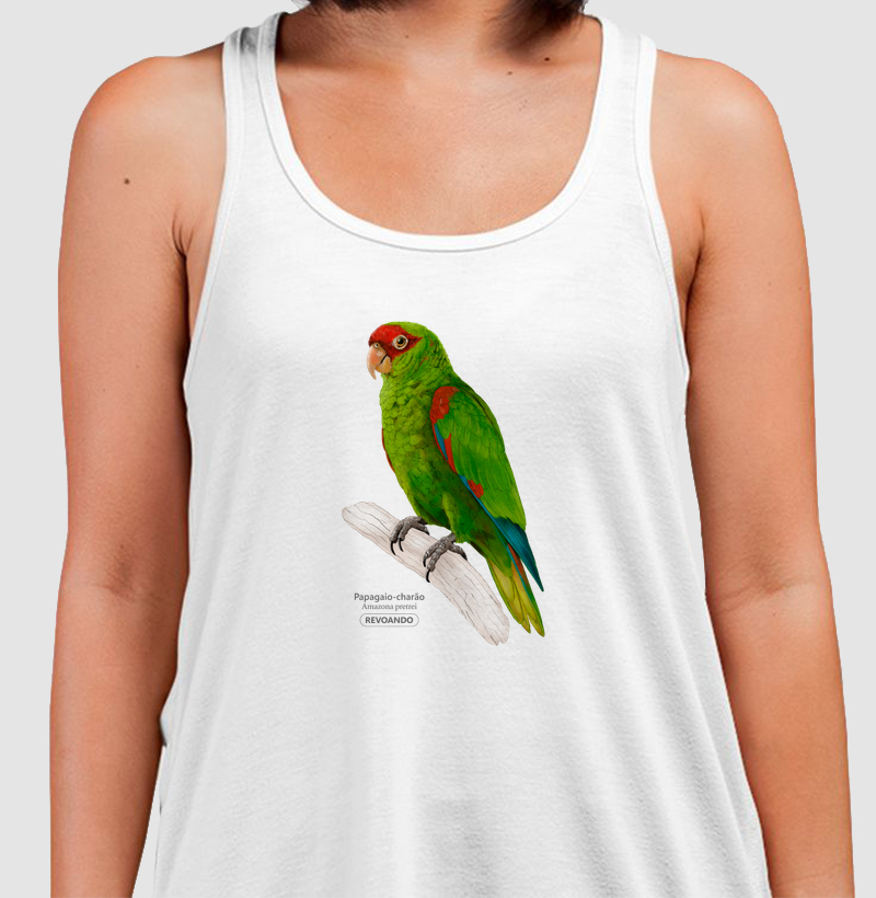 Aves do Brasil - Papagaio-charão - Regata