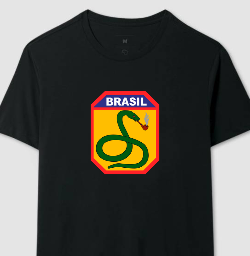  Força Expedicionária Brasileira (FEB) - A cobra Fumando
