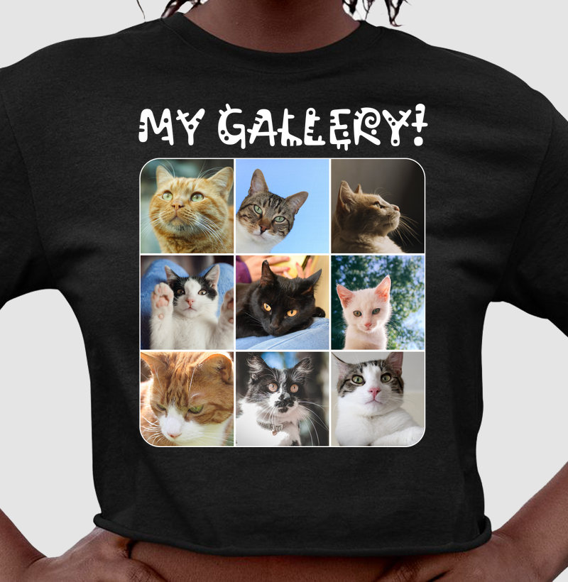 My gallery!