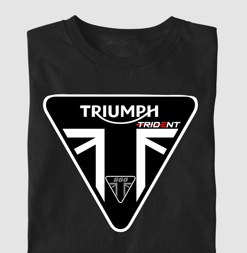 Triumph Trident 660 3