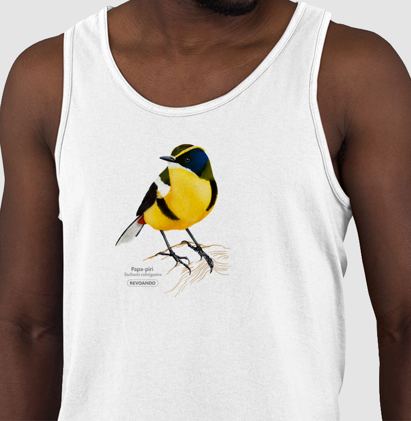 Inky Aves - Papa-piri - Regata