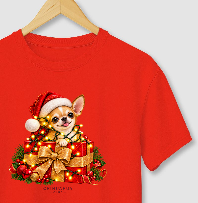 Presente de Natal 