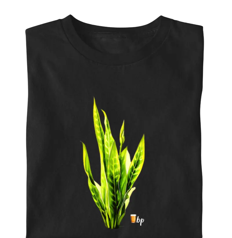 Espada de São Jorge