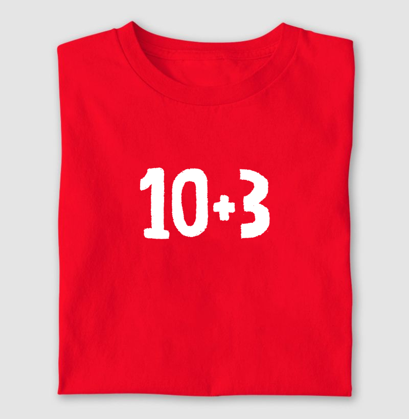 10+3
