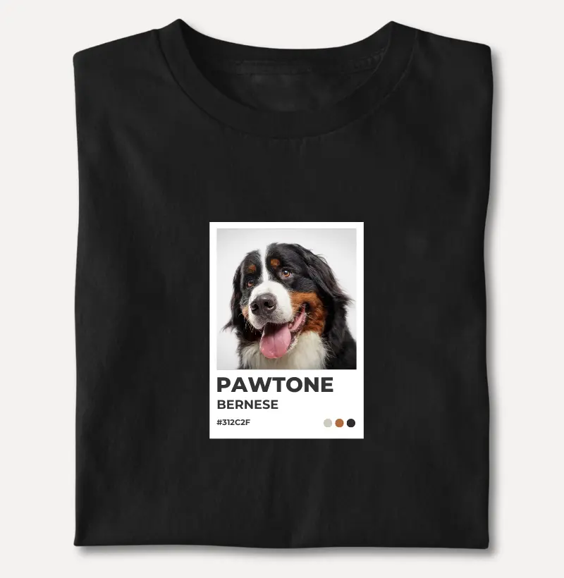Pawtone Bernese