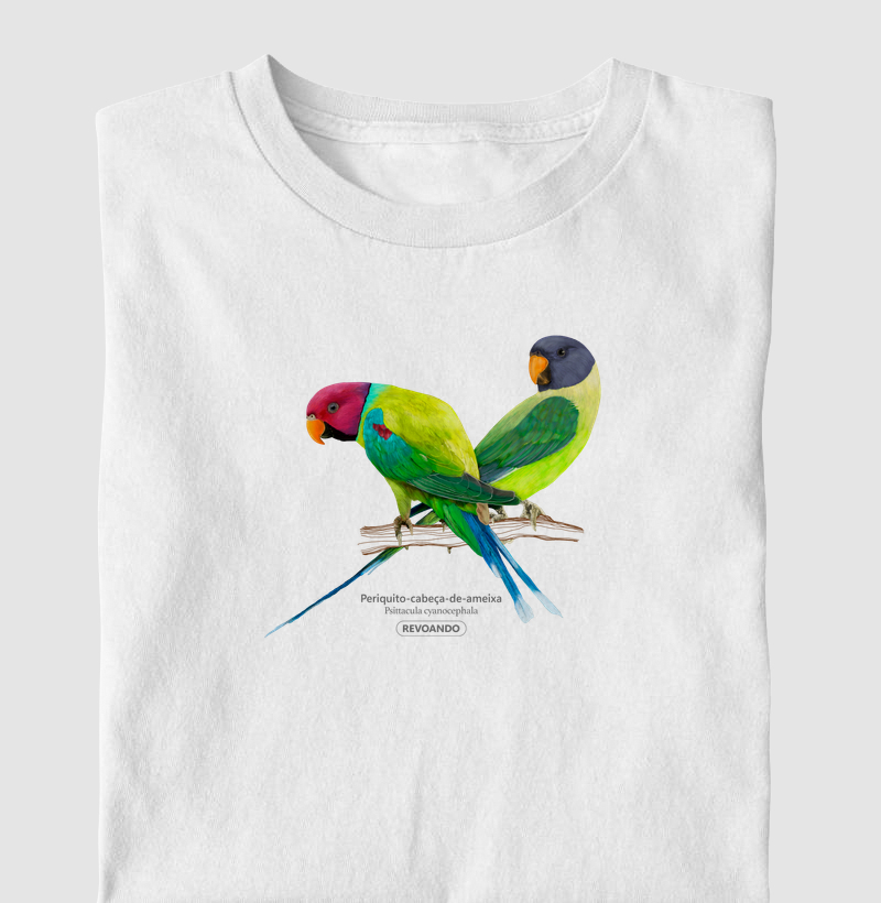 Love Friends - Periquito-cabeça-de-ameixa