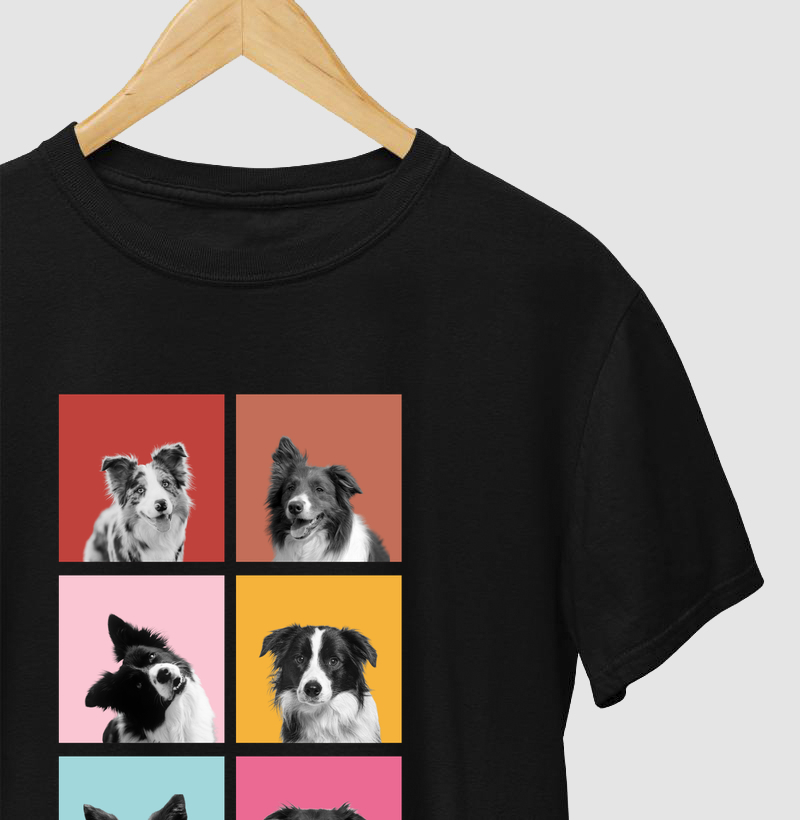 Faces Border Collie