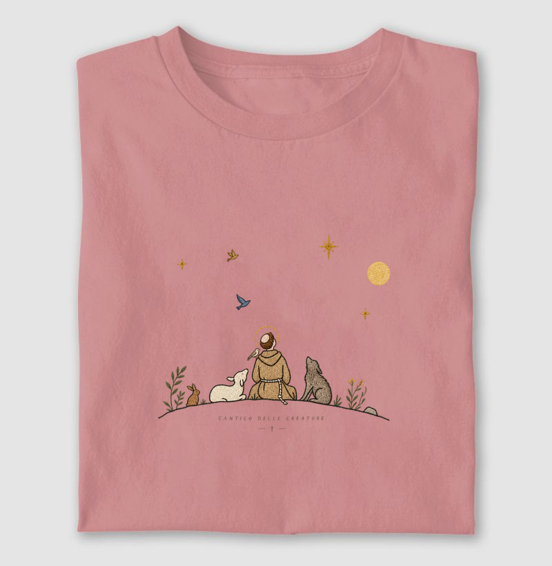 São Francisco e as estrelas