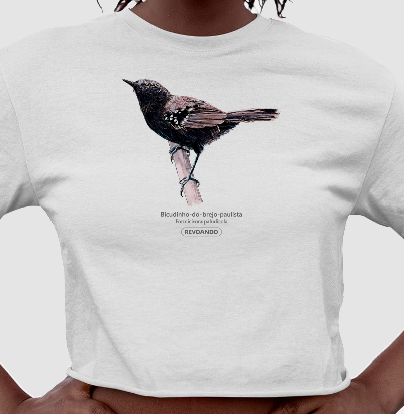 Aves do Brasil - Bicudinho-do-brejo-paulista - Cropped