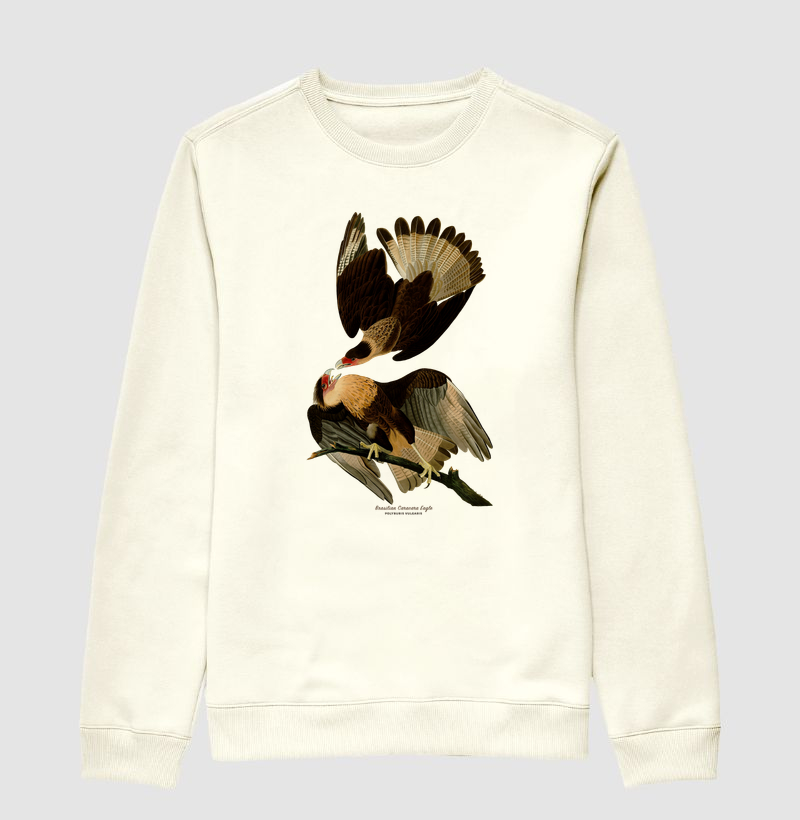 Moletom Carcará Brasileiro — Audubon