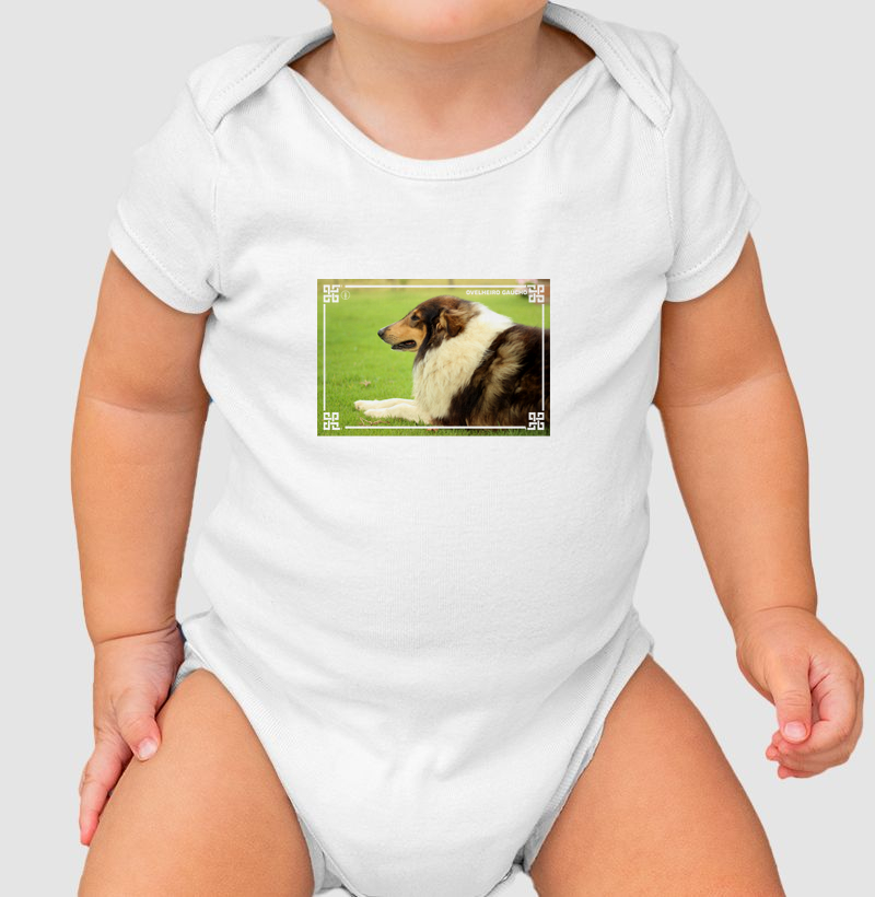 Ovelheiro Gaúcho - Color 2