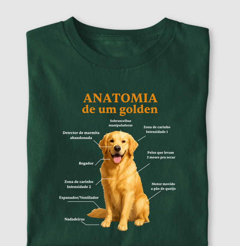 Anatomia