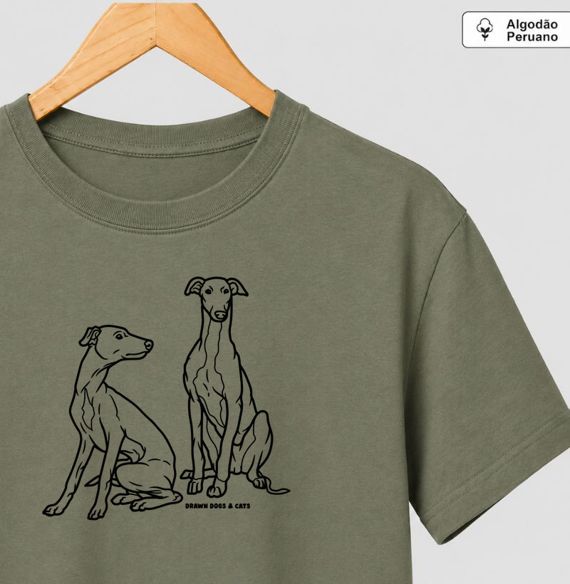 Galgo italiano