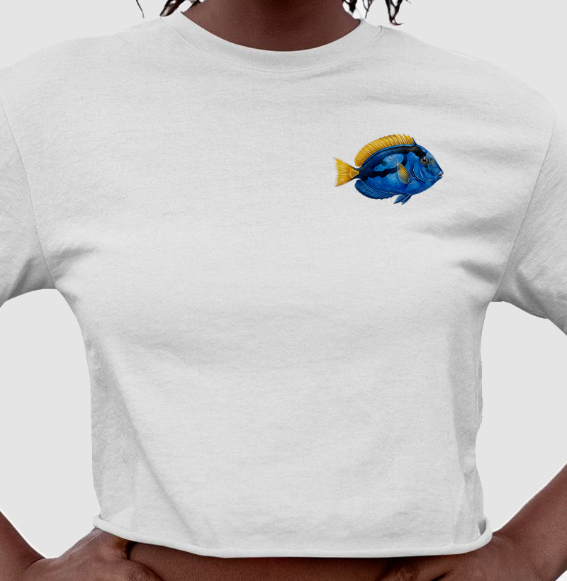 Peixes - Mini - Blue Tang - Cropped - Cropped