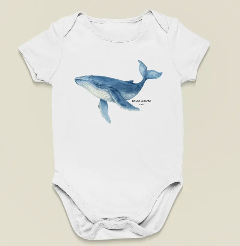 Baleia Jubarte